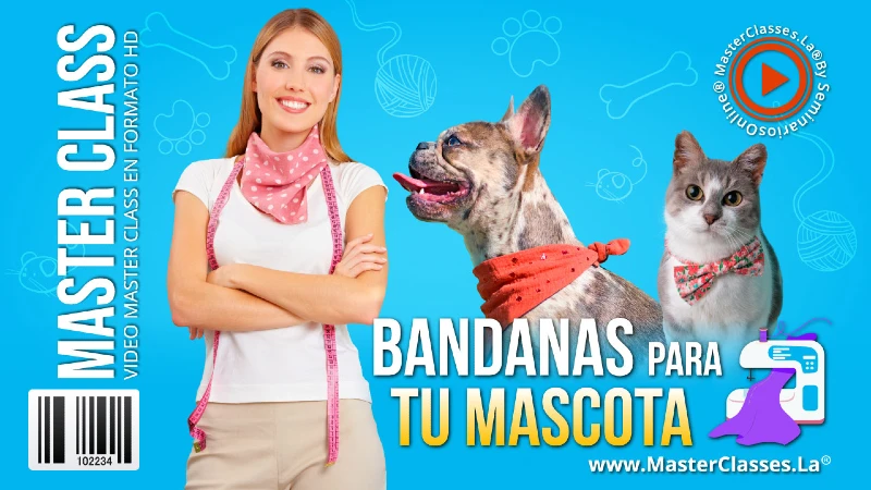 bandanas para mascotas